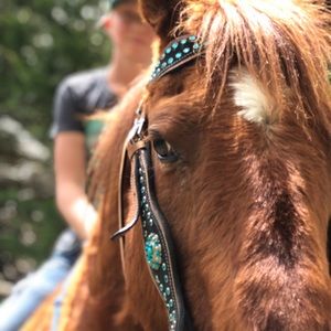 Meet your Posher, Johnni